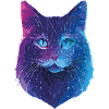 Galaktische Katze