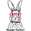 Spectacled bunny