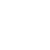 NSNO White v2