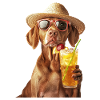Vizsla