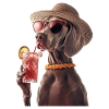 Weimaraner