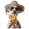 Whippet