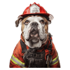 Bulldogge