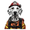 Dalmatiner