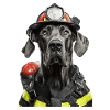 Deutsche Dogge