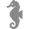 Seahorses marine animals