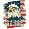 American flag with eagle