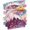 American flag with eagle