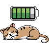 Cat Sleeping Recharging Night Bedtime