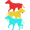 Rhodesian Ridgeback