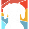 Rhodésian Ridgeback