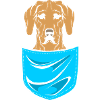 Rhodesian Ridgeback