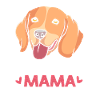 Beagle Maman Maman Chien Maman