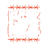 FCKNZS Antifaschistisches Statement