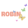 Robin Robin