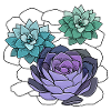 Succulents