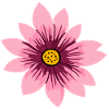 Blumenmotiv rosa pink