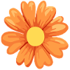 Flower orange