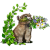 little whistling hare