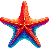 Starfish