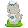Cat Cook Bowl Cooking