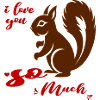 Squirrel