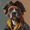 American Staffordshire Pirate