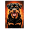 ROTTWEILER MON AMI