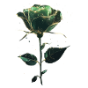 Grüne Rose