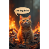 Cat Meme