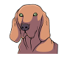 Weimaraner