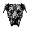 Great Dane Dog Portrait