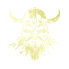 Crâne Viking
