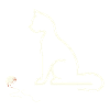 cat pet pets