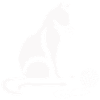 cat pet pets