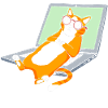Remote home office