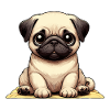 Dogs Pets Pets