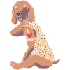 Weimaraner