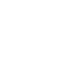 Three smart watchful Dobermans dogs