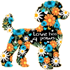 Caniche chien et fleurs