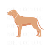 Redbone Coonhound