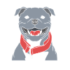Staffordshire Bull Terrier