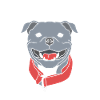 Staffordshire Bull Terrier