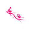 Bird Watching Cute Bird Lover