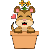 Fleur de suricate