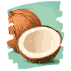 Kokosnuss Coconut