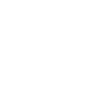 White Fox Skull