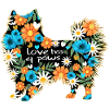 Zwergspitz pomeranian