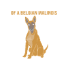 Belgian Malinois