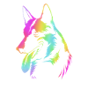 Belgian Malinois